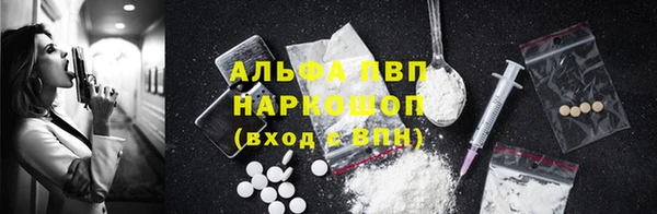 spice Богородск