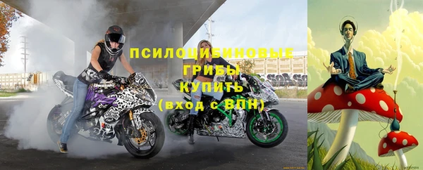 дурь Бронницы