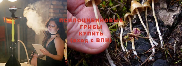 ALPHA-PVP Богородицк