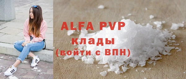 spice Богородск